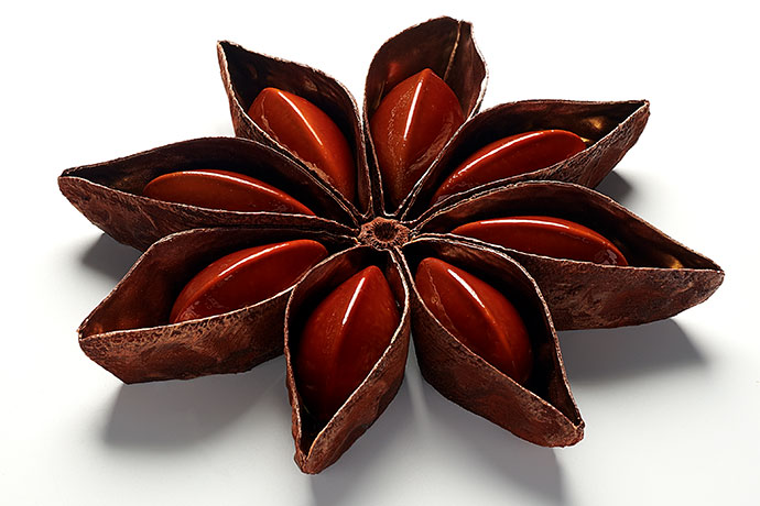 La bûche du Shangri-La Hotel Paris par Maxence Barbot © Laurent Fau