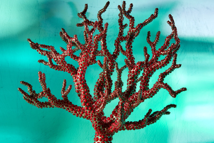 CORAL : Un océan de cristaux dans un écrin de luxe